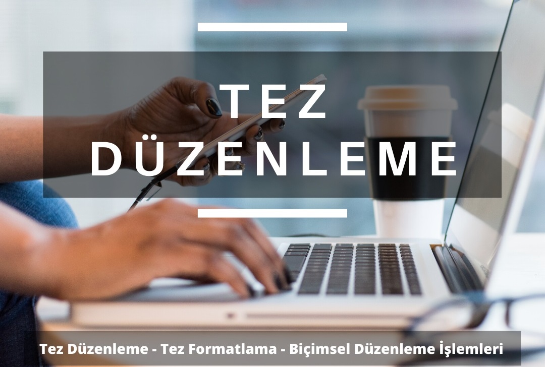 tez duzenleme